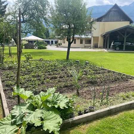 Pension Lipicer Hotel Kotschach-Mauthen Exterior photo